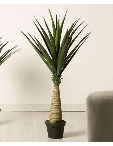 PLANTA YUCA 110 CM - Imagen 1