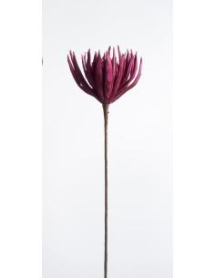 VARA DALIA SAFARINA FUCSIA - Imagen 1