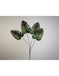 RAMA COSTILLA DE ADAN VERDE - Imagen 1