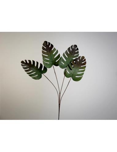 RAMA COSTILLA DE ADAN VERDE - Imagen 1