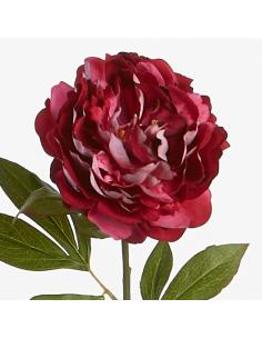 VARA PEONIA FUCSIA 80 CMS. - Imagen 1
