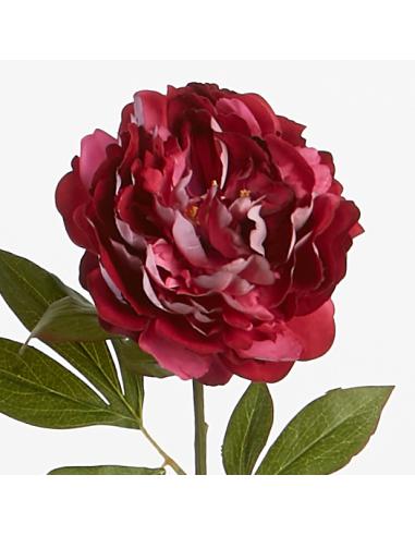 VARA PEONIA FUCSIA 80 CMS. - Imagen 1