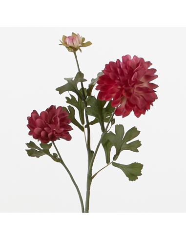 VARA CRISANTEMO INDICUM FUCSIA 2 FLORES 66 CMS. - Imagen 1