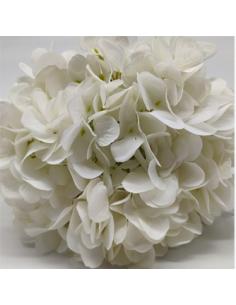 VARA HORTENSIA BLANCA 60 CMS. - Imagen 1