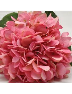 VARA HORTENSIA ROSA 60 CMS. - Imagen 1