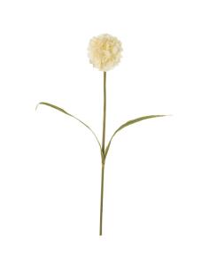 FLOR DURILLO BLANCA - Imagen 1