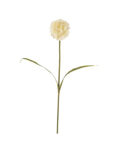 FLOR DURILLO BLANCA - Imagen 1