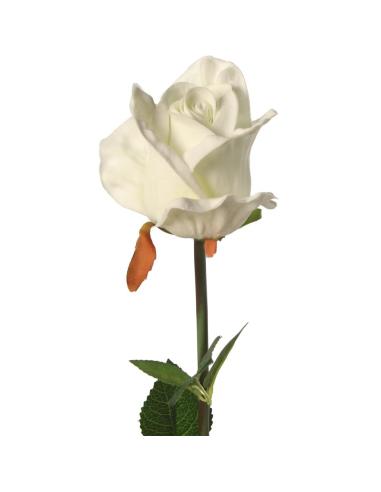 ROSAS BLANCAS 74 CM