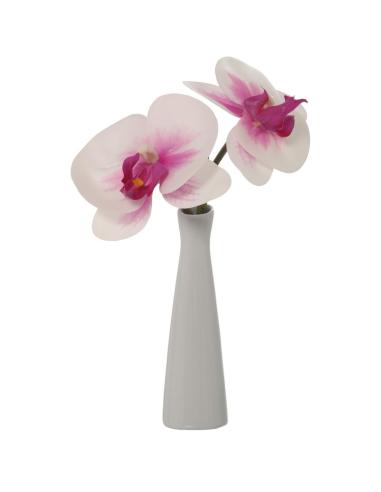 VIOLETERO C/ORQUIDEA ROSA Y BLANCO