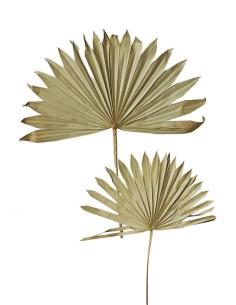 VARA HOJA DECO NATURAL S/2